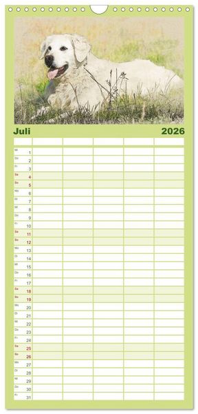Produktbild: Familienplaner 2026 - Golden Retriever mit 5 Spalten (Wandkalender, 21 x 45 cm) CALVENDO