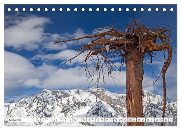 Produktbild: Alles aus Holz (Tischkalender 2026 DIN A5 quer), CALVENDO Monatskalender