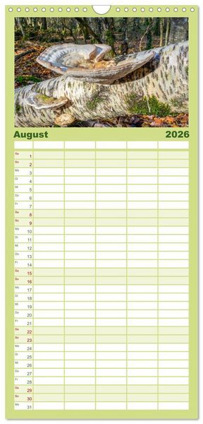 Produktbild: Familienplaner 2026 - Pilze in den Herbstw&auml;ldern mit 5 Spalten (Wandkalender, 21 x 45 cm) CALVENDO