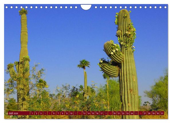 Produktbild: Arizona &bull; Impressionen (Wandkalender 2026 DIN A4 quer), CALVENDO Monatskalender