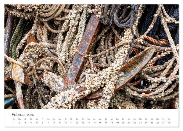 Produktbild: Fischersiedlung Holm an der Schlei (hochwertiger Premium Wandkalender 2026 DIN A2 quer), Kunstdruck in Hochglanz