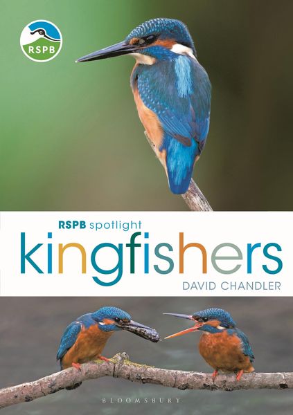 Produktbild: RSPB Spotlight Kingfishers
