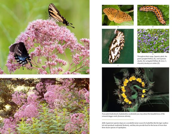Produktbild: Bringing Nature Home
