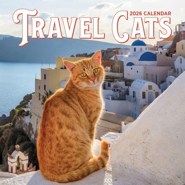 Produktbild: Travel Cats Wall Calendar 2026