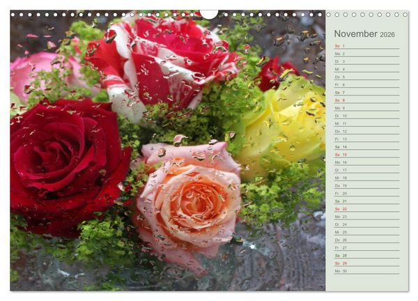 Produktbild: Rosen, Rosen ... arrangiert und am Strauch (Wandkalender 2026 DIN A3 quer), CALVENDO Monatskalender
