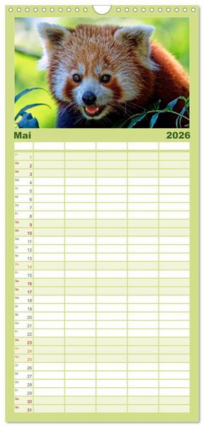 Produktbild: Familienplaner 2026 - Kleiner Panda mit 5 Spalten (Wandkalender, 21 x 45 cm) CALVENDO
