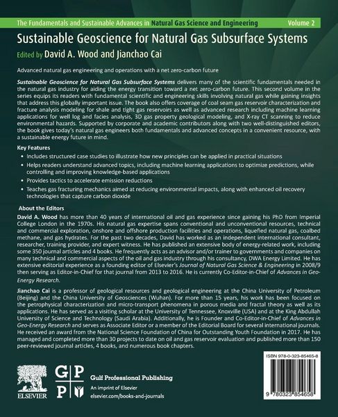 Produktbild: Sustainable Geoscience for Natural Gas SubSurface Systems