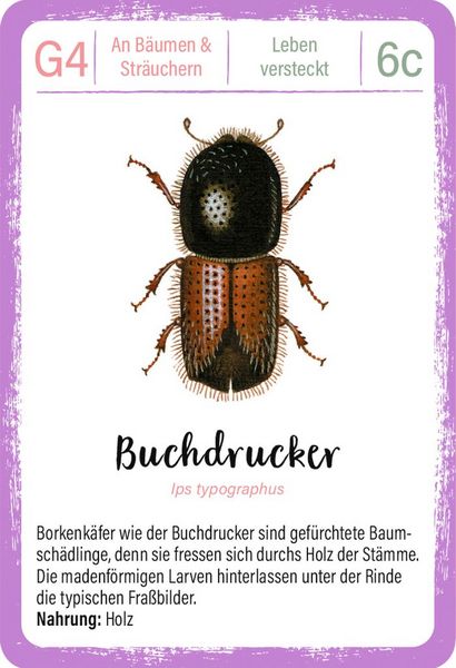 Produktbild: Expedition Natur Quartett Minimonster