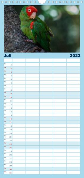 Produktbild: Papageien - Frech, sch&ouml;n und schlau - Familienplaner hoch (Wandkalender 2022 , 21 cm x 45 cm, hoch)