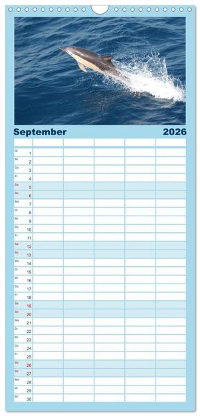 Produktbild: Familienplaner 2026 - Delfine - L&auml;chelnde Intelligenz mit 5 Spalten (Wandkalender, 21 x 45 cm) CALVENDO