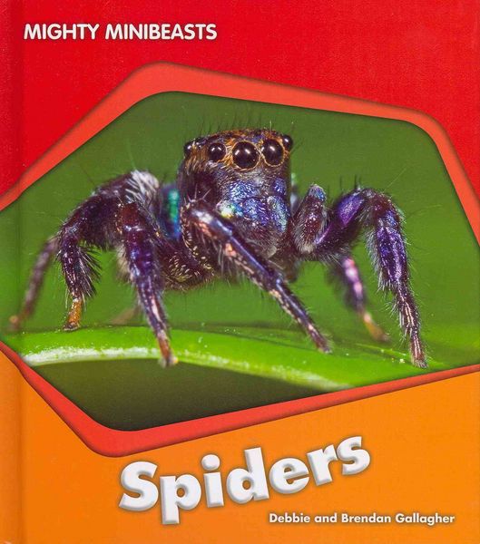Produktbild: Spiders