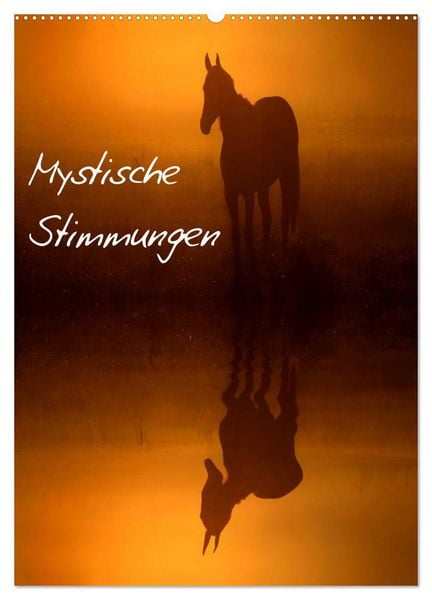 Produktbild: Mystische Stimmungen (Wandkalender 2026 DIN A2 hoch), CALVENDO Monatskalender