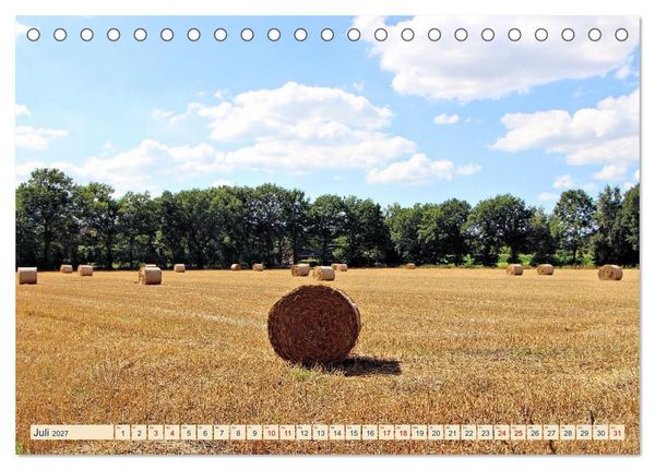 Produktbild: In Apen und umzu (Tischkalender 2027 DIN A5 quer), CALVENDO Monatskalender