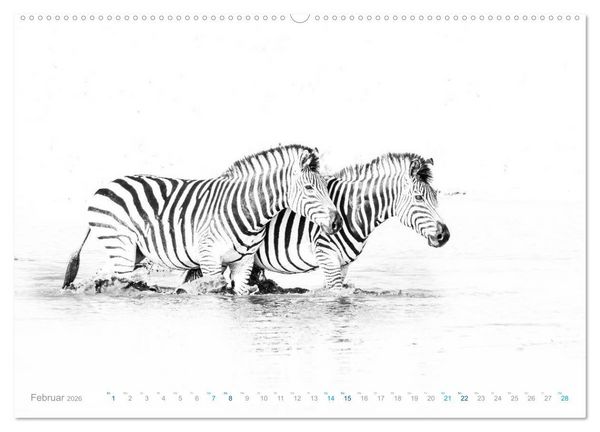 Produktbild: AFRIKA - Schwarz-weiss Fotografien im modernen "High Key" Look (Wandkalender 2026 DIN A2 quer), CALVENDO Monatskalender