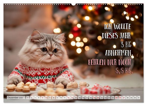 Produktbild: Katzenlogik - Wenn Blicke miauen k&ouml;nnten (hochwertiger Premium Wandkalender 2026 DIN A2 quer), Kunstdruck in Hochglanz