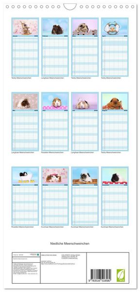 Produktbild: Familienplaner 2026 - Niedliche Meerschweinchen mit 5 Spalten (Wandkalender, 21 x 45 cm) CALVENDO