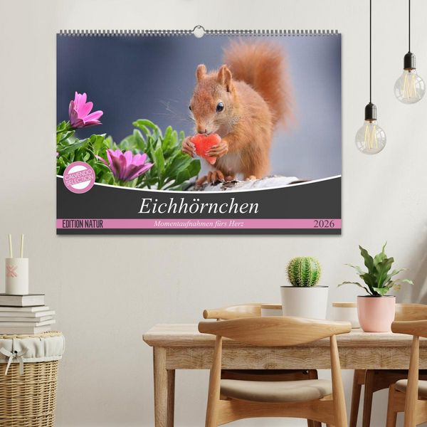 Produktbild: Eichh&ouml;rnchen Momentaufnahmen f&uuml;rs Herz (Wandkalender 2026 DIN A2 quer), CALVENDO Monatskalender