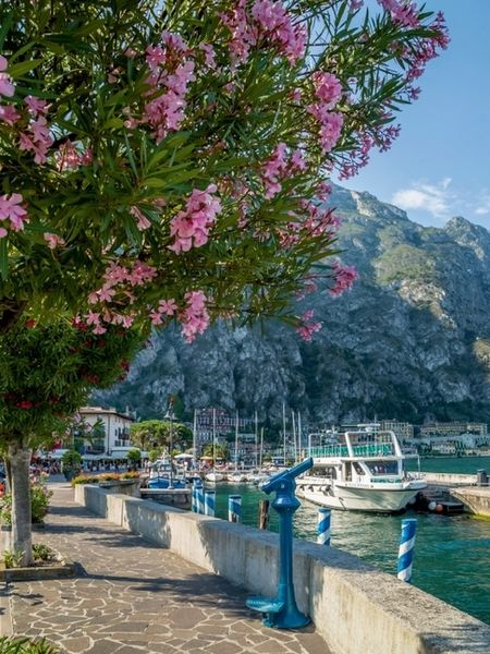 Produktbild: CALVENDO Puzzle GARDASEE Hafen und Uferpromenade in Limone sul Garda | 1000 Teile Lege-Gr&ouml;&szlig;e 64x48cm Foto-Puzzle f&uuml;r gl&uuml;ckliche Stunden