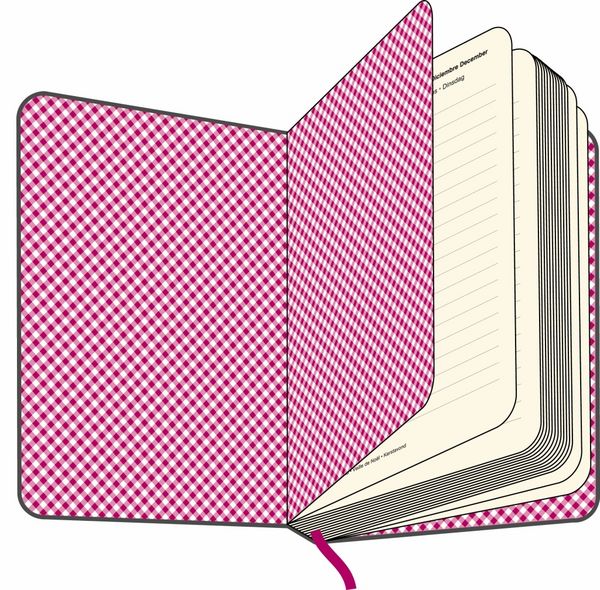 Produktbild: Cool Diary, Tageskalender klein, Grey/Vichy Pink/White 2013
