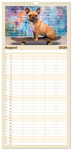 Produktbild: Familienplaner 2026 - Cool Dogs - Hunde-Spa&szlig; im Studio mit 5 Spalten (Wandkalender, 21 x 45 cm) CALVENDO