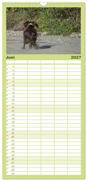 Produktbild: Familienplaner 2027 - Jagdhunde bei der Arbeit mit 5 Spalten (Wandkalender, 21 x 45 cm) CALVENDO