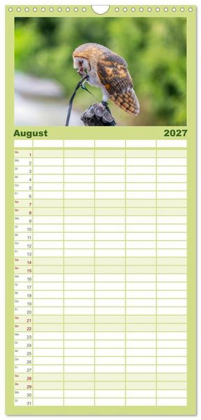 Produktbild: Familienplaner 2027 - Greifv&ouml;gel in Aktion - Dynamische Flugbilder und Portr&auml;ts mit 5 Spalten (Wandkalender, 21 x 45 cm) CALVENDO