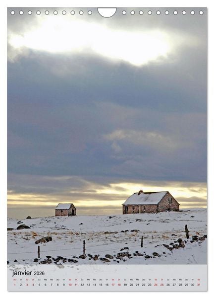 Produktbild: Retour &agrave; la nature (Calendrier mural 2026 DIN A4 horizontal), CALVENDO calendrier mensuel