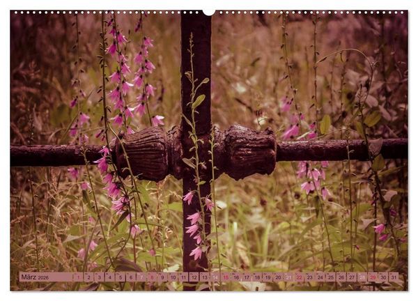 Produktbild: Wildwuchs 2026 (hochwertiger Premium Wandkalender 2026 DIN A2 quer), Kunstdruck in Hochglanz