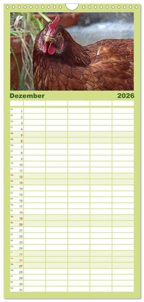 Produktbild: Familienplaner 2026 - Die H&uuml;hner sind los! mit 5 Spalten (Wandkalender, 21 x 45 cm) CALVENDO
