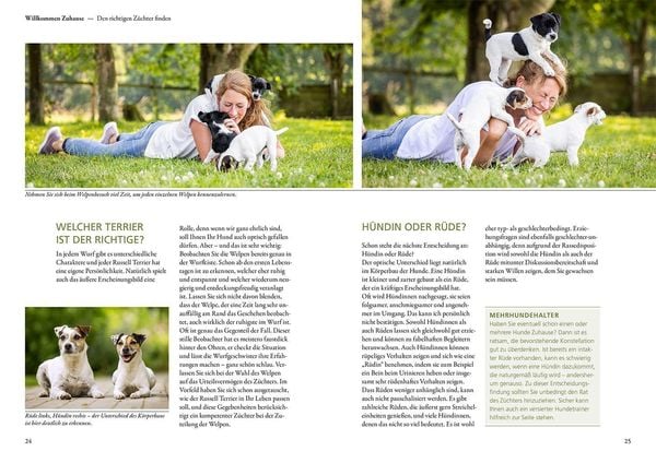 Produktbild: Parson und Jack Russell Terrier