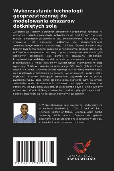 Produktbild: Wykorzystanie technologii geoprzestrzennej do modelowania obszar&oacute;w dotkni&iquest;tych sol&iquest;