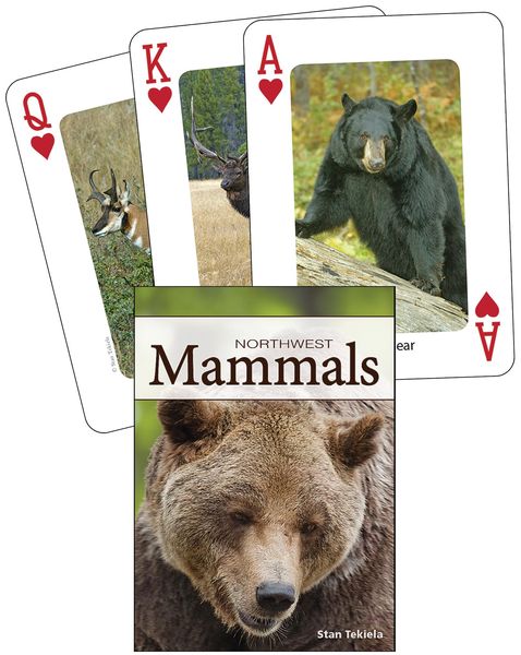 Produktbild: Mammals of the Northwest Playing Cards