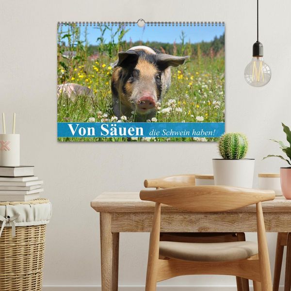 Produktbild: Von S&auml;uen die Schwein haben! (Wandkalender 2026 DIN A3 quer), CALVENDO Monatskalender