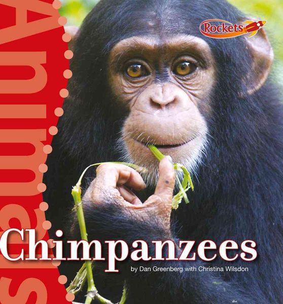 Produktbild: Chimpanzees