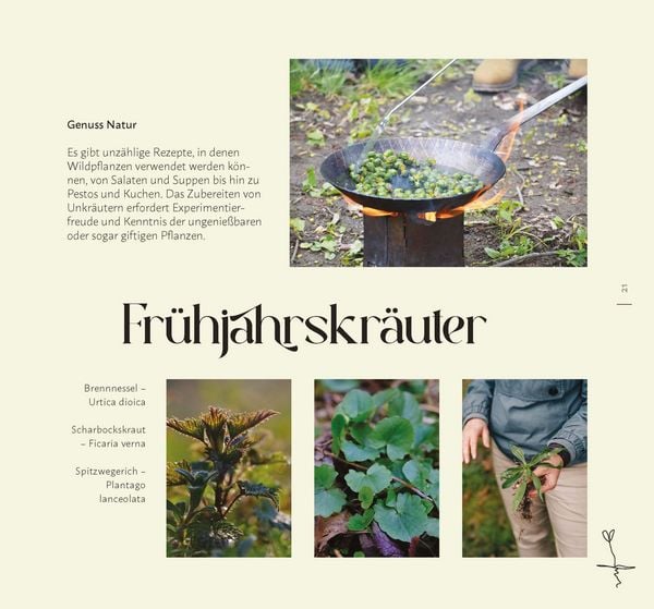 Produktbild: Faszination Wildkr&auml;uter