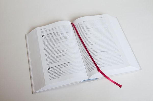 Produktbild: Volxbibel - next level