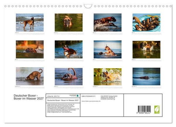 Produktbild: Deutscher Boxer - Boxer im Wasser 2027 (Wandkalender 2027 DIN A3 quer), CALVENDO Monatskalender