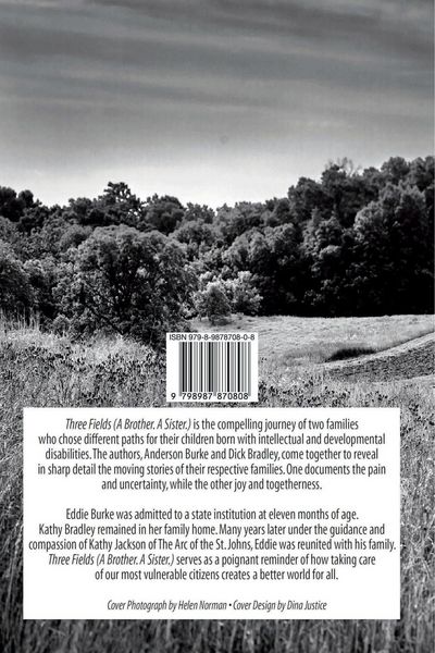 Produktbild: Three Fields (A Brother. A Sister.)
