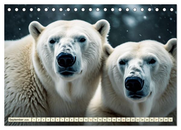 Produktbild: Eisb&auml;ren im Fokus (Tischkalender 2026 DIN A5 quer), CALVENDO Monatskalender