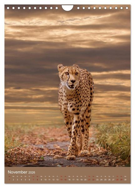 Produktbild: Portraits of Animals (Wandkalender 2026 DIN A4 hoch), CALVENDO Monatskalender