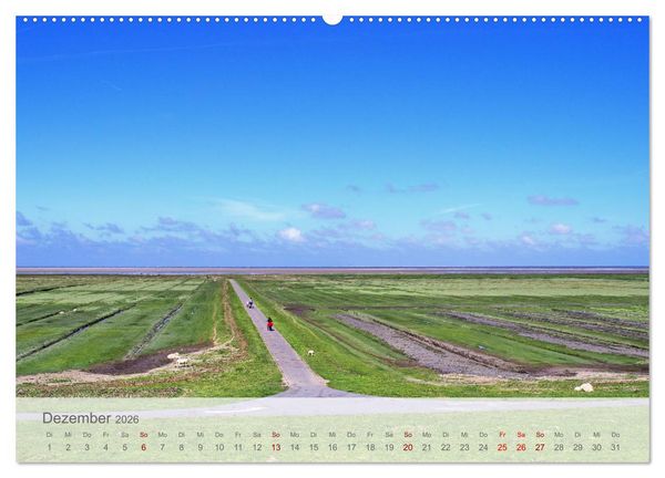 Produktbild: Salzwiesen, Schafe und Watt - Westerhever, ein Naturparadies an der Nordsee (hochwertiger Premium Wandkalender 2026 DIN A2 quer), Kunstdruck in Hochglanz