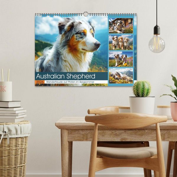 Produktbild: Australian Shepherd. Wanderfreude auf Pfoten im Bergsommer (Wandkalender 2026 DIN A3 quer), CALVENDO Monatskalender