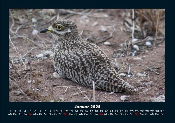 Produktbild: Vogelparadies 2025 Fotokalender DIN A4