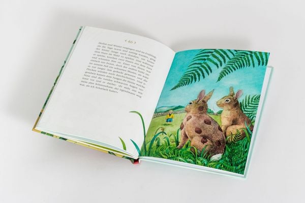 Produktbild: Der kleine Schmusehase