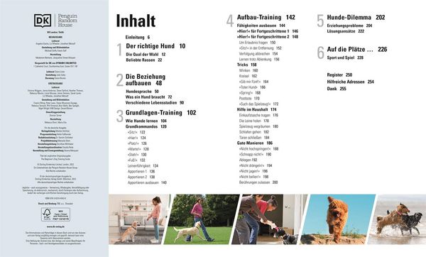 Produktbild: Hundeerziehung ganz einfach