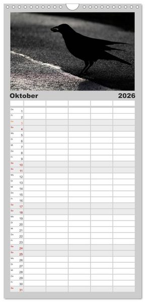 Produktbild: Familienplaner 2026 - Rabenschwarze Impressionen - meike-ajo-dettlaff.de via wildvogelhlfe.org mit 5 Spalten (Wandkalender, 21 x 45 cm) CALVENDO