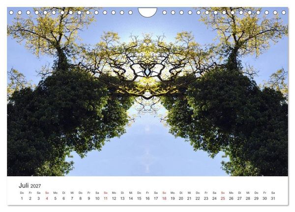 Produktbild: Spiegelwelten - Natur anders sehen (Wandkalender 2027 DIN A4 quer), CALVENDO Monatskalender