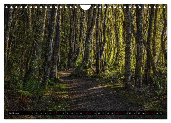 Produktbild: Trauminseln Neuseeland (Wandkalender 2026 DIN A4 quer), CALVENDO Monatskalender