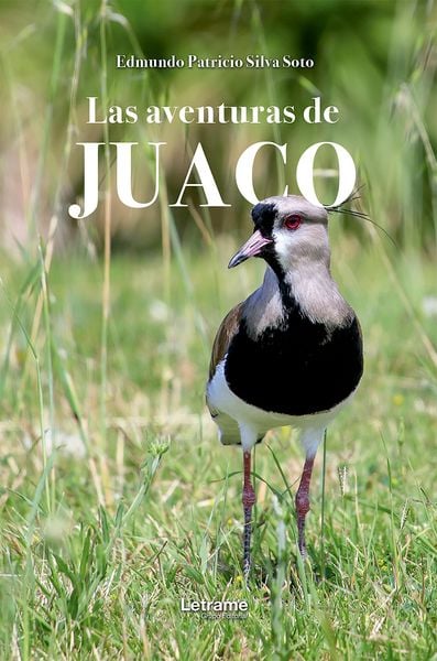 Produktbild: Las aventuras de Juaco