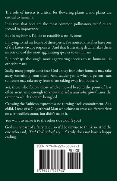Produktbild: Am I Trying to Take Away From Jesus?